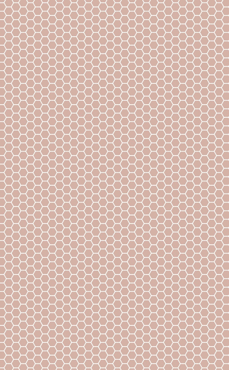 Mini Hexagon Tiles Dusky Pink on White Vinyl