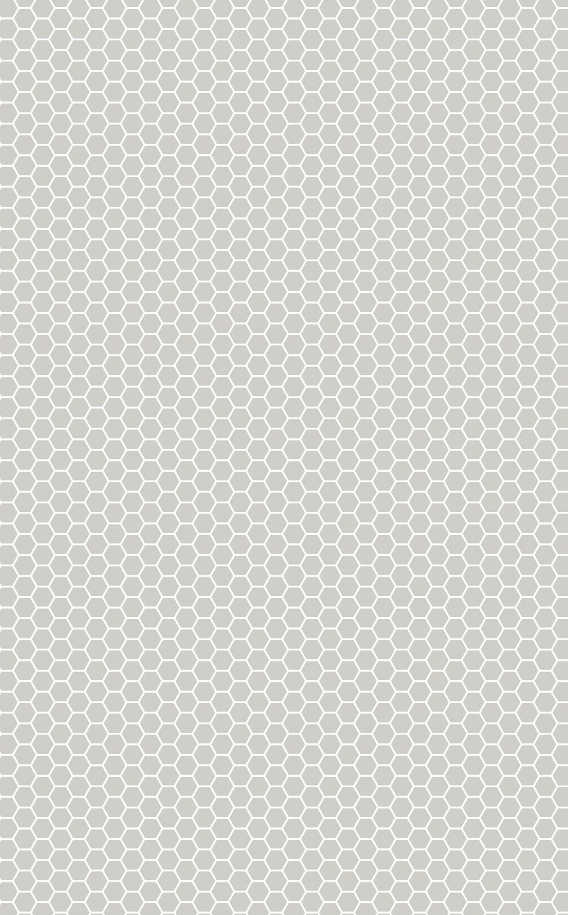 Mini Hexagon Tiles Grey on White Vinyl